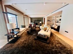21 Anderson (D10), Condominium #569172261